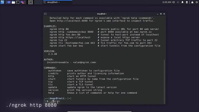 HOW TO GET STARTED WITH NGROK || full Download And Installation of Ngrok || смотреть онлайн
