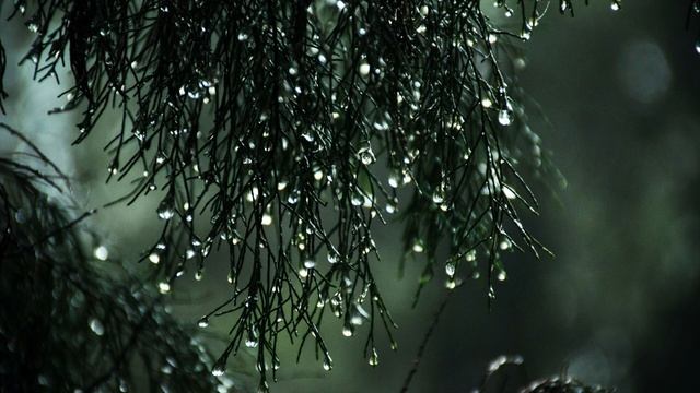 10 Minute Loop Rain and Thunder Atmospheric Background Music Sleeping Soundtrack Rain смотреть онлайн