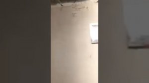 Продаётся Дом в пригороде г. Новороссийска в ст. Раевская