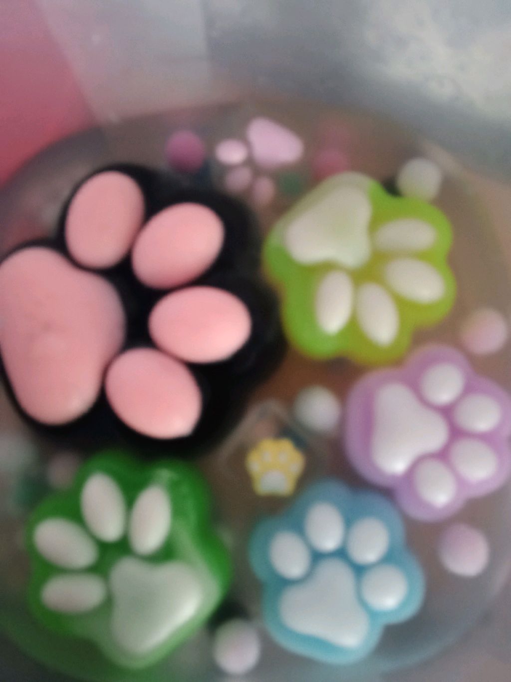 лапки 🐾
