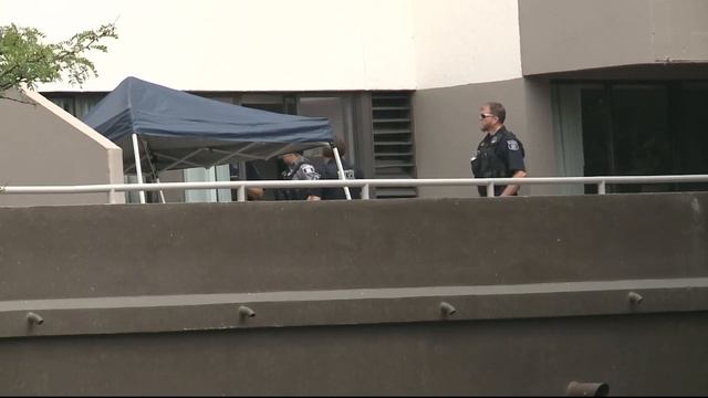 3-year-old boy dies after falling out of high-rise apartment window in Alexandria смотреть онлайн