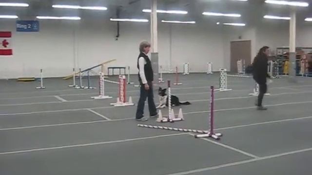 chip.wmv смотреть онлайн