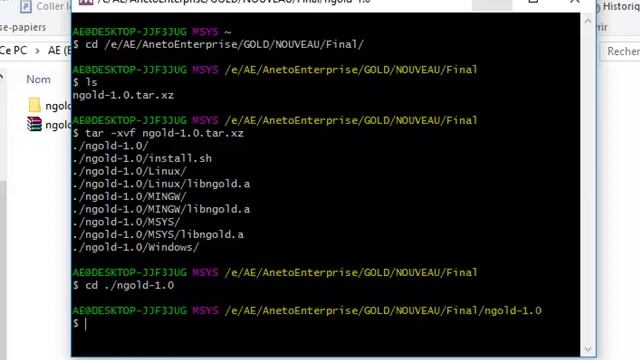 Installation Ngold Sous Windows10 x64 MSYS смотреть онлайн