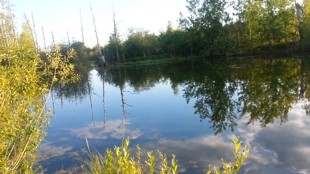 Свалку убрали!!! СПАСИБО за помощь!!! смотреть онлайн