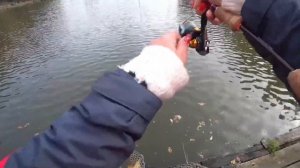 Ловля форели. Красногорск