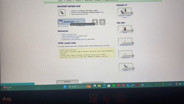 You NEED Custom windows cursors #windowscustomization смотреть онлайн
