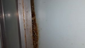 Застрял в лифте строммашина 1968 года