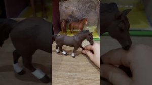 Моя конюшня