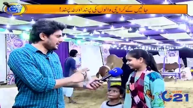 In Sohrab Goth Cattle Market | Hum Or Aap | City 21 | 29.06.2022 смотреть онлайн