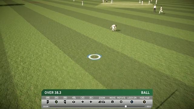 bug in don bradman cricket 17 смотреть онлайн