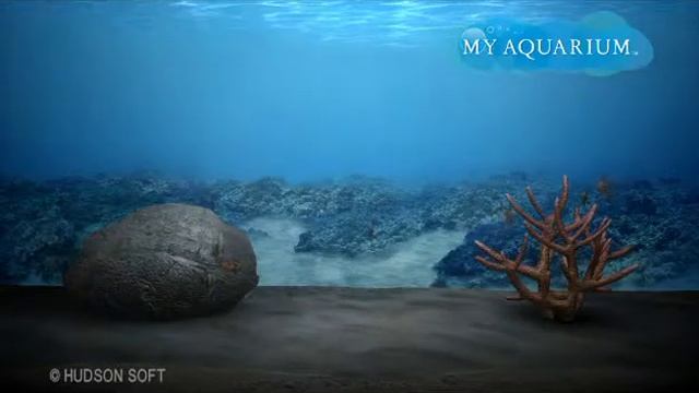 My Aquarium смотреть онлайн