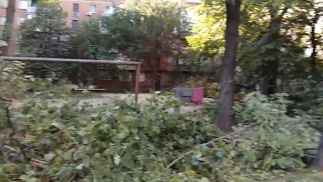 Двор ул Рабочая 83, 17 октября 2015 год смотреть онлайн