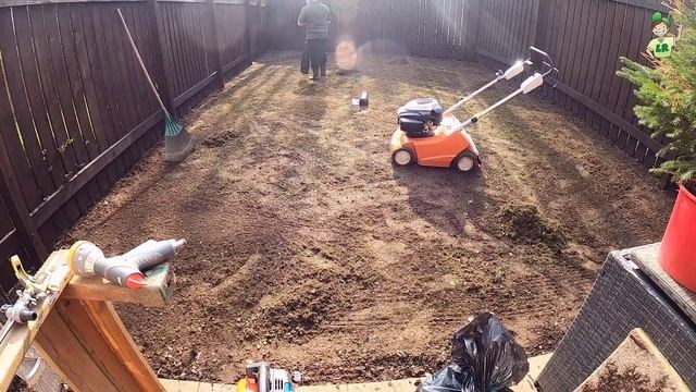 Timelapse lawn renovation in a shady spot смотреть онлайн