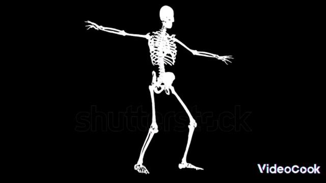Dance Skeleton {windows music} смотреть онлайн