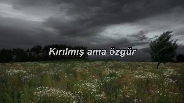 Live Like A Dream - Thirty Seconds To Mars || Türkçe Çeviri смотреть онлайн