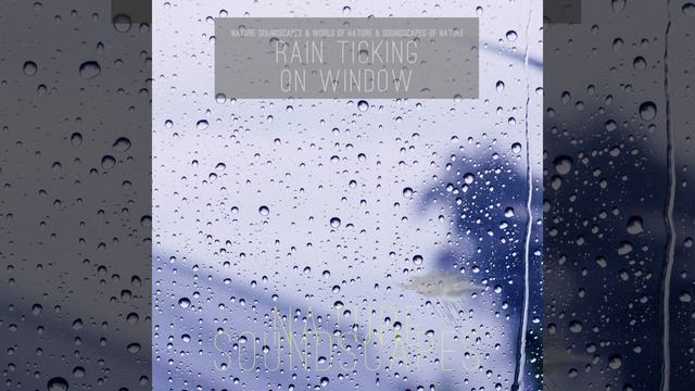 Rain on Window Sound смотреть онлайн