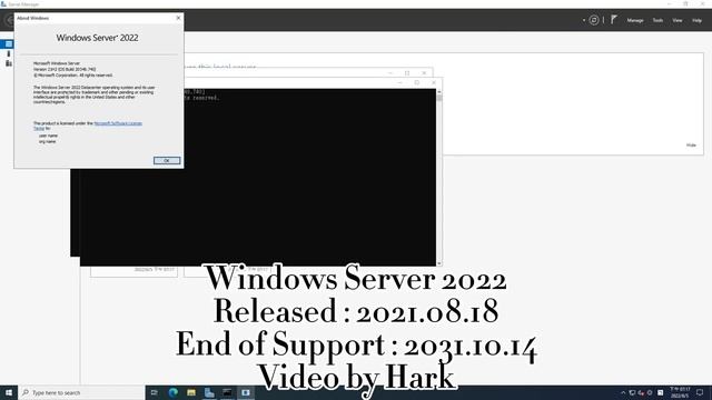 Windows History with Never Released Versions Collection - Windows Server 2022 смотреть онлайн