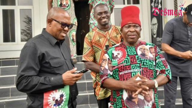 INTERESTING PETER OBI HAS SECURED 48 SEATS IN HOUSE OF REP AND SENATE FOR LABOUR PARTY. FULL DETAIL смотреть онлайн