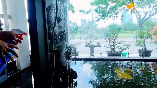 Hồ cá đã đẹp nay càng lung linh hơn khi đã có Robot lau kính Tahawa смотреть онлайн