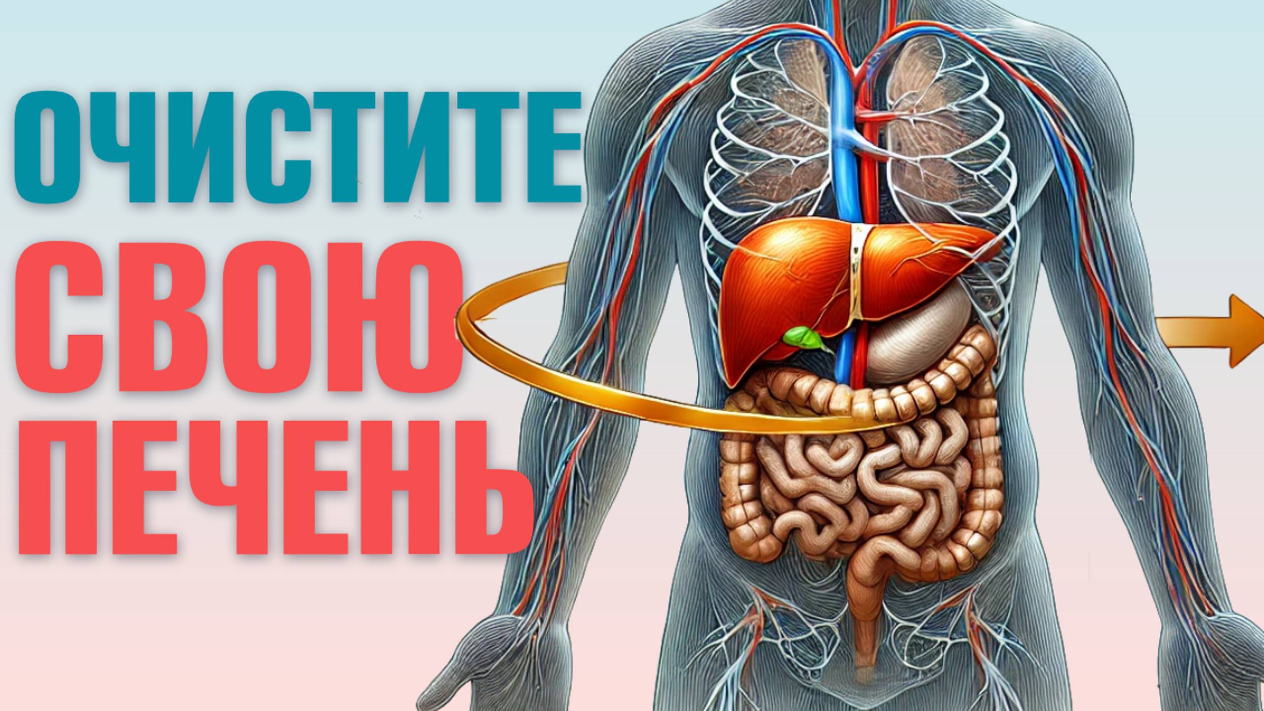 Что хорошо выводит токсины из печени? Детокс печени и организма. Часть 3 смотреть онлайн
