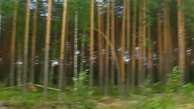 на границе Нижегородской и Костромской области смотреть онлайн