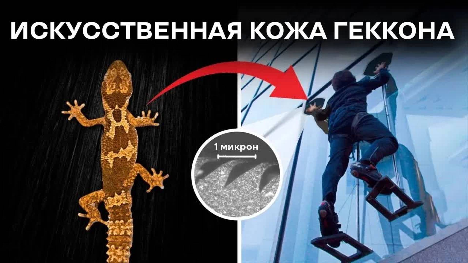 [Veritasium] Этот материал позволяет ползать как геккон смотреть онлайн