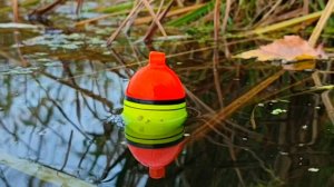 Щука на поплавочную удочку в октябре