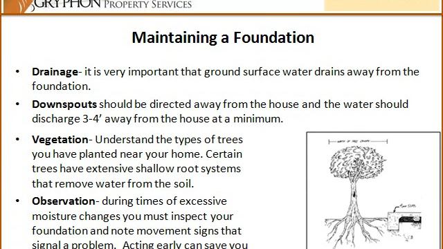 Foundation Basics.wmv смотреть онлайн