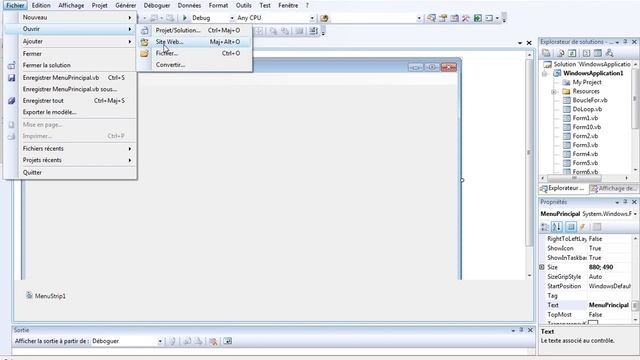 17 Fonctions et Objets 9 TreeView et MenuStrip VB Formulaire смотреть онлайн