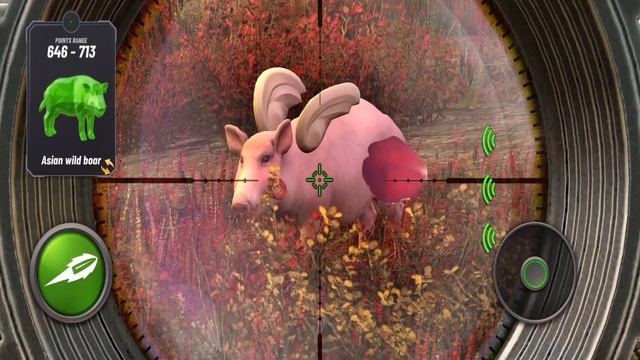 New Animal: Asian Wild Boar - Hunting Clash Gameplay Ep39 смотреть онлайн