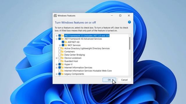 How To Fix Installing .NET Framework 3.5 Failed Error Code 0x800F0954 on Windows 11 смотреть онлайн