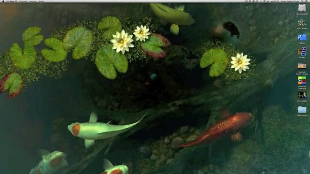 Koi Pond 3D Mac OS X Fondo de pantalla animado 3D 2013 смотреть онлайн