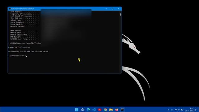 Solving the Unsolvable: 'This Site Can't Be Reached' Error in Windows 11 Revealed! смотреть онлайн