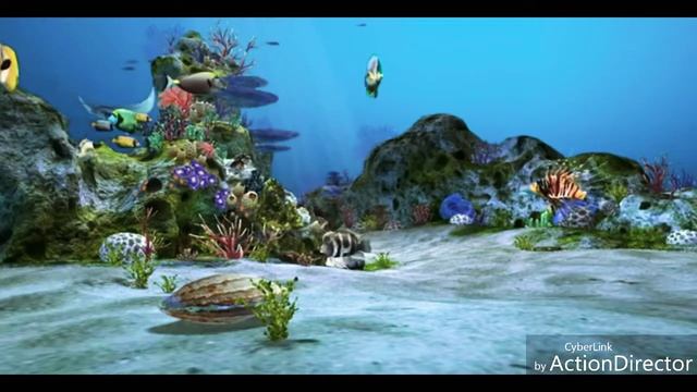 Aquarium смотреть онлайн
