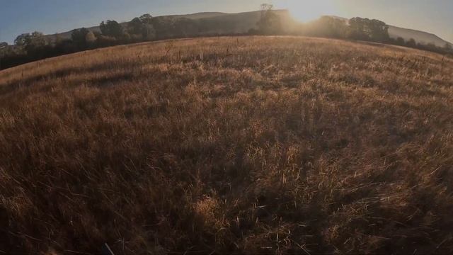 15 октября 2023 г. смотреть онлайн