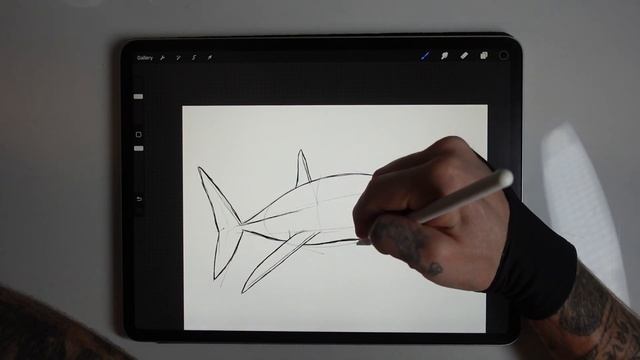 How I Draw a Mako Shark using simple lines and shapes смотреть онлайн