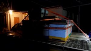 Сколько ульев вмещается в легковой прицеп с платформой 3 х 1,6 м. #пчеловодонлайн #pchelovodonline