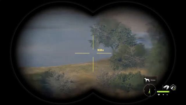 hunting mexico brown lynx смотреть онлайн