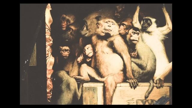 The Academic - Mixtape 2003 смотреть онлайн