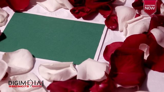 HD BG Frame 2 BACKGROUND смотреть онлайн