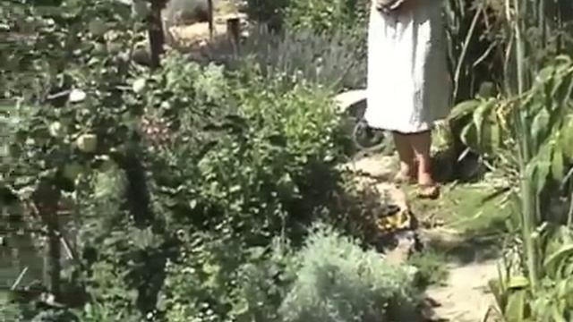 Celebrate Your Waste: Omelette Loop смотреть онлайн