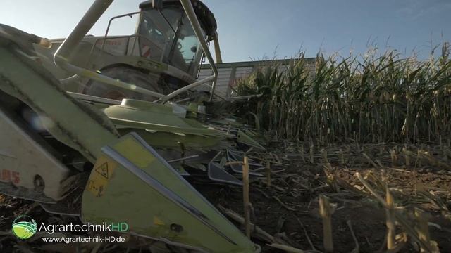FENDT Traktoren & CLAAS Jaguar 980 häckseln Mais für eine Biogasanlage | Lohnunternehmen Steyns смотреть онлайн