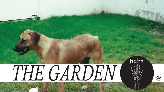 The Garden - "This Could Build Us a Home" (Full Album Stream) смотреть онлайн