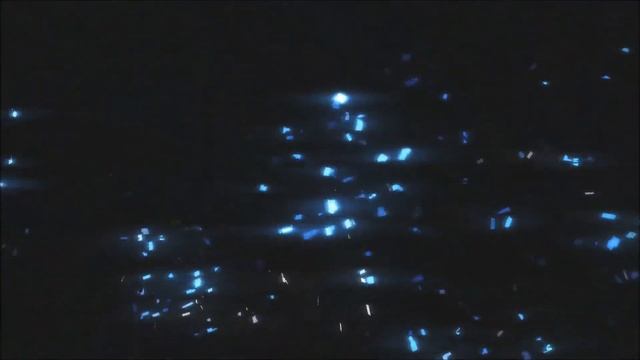 Update on The New Year смотреть онлайн