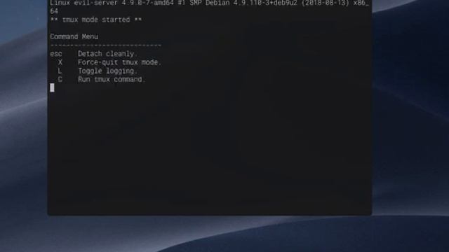 iTerm2 Remote Code Execution Vulnerability смотреть онлайн