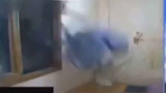 Rage dude throws his chair at window lol смотреть онлайн