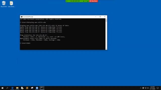 Lab 5 Task 5 - Pinging at Command Prompt смотреть онлайн