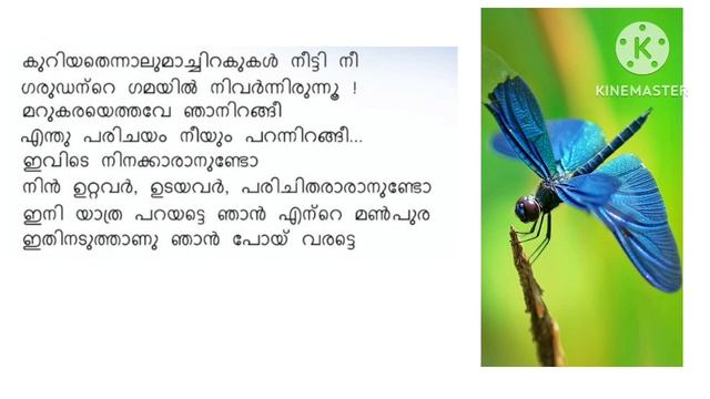 Evide Ninno Vanna Thumbi Kavitha With Lyrics /O N V Kurup /എവിടെ നിന്നോ വന്ന തുമ്പി കവിത /ഒ എൻ വി смотреть онлайн