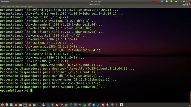 2020 | Linux Ubuntu 18.04.03 LTS |comando autoremove смотреть онлайн