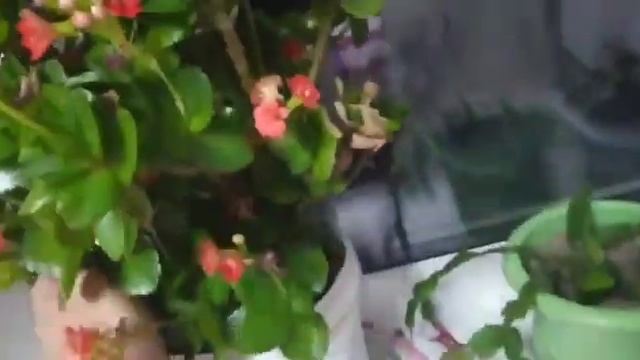 Купили комод для пряжи // Смешная доставка до дома // смотреть онлайн